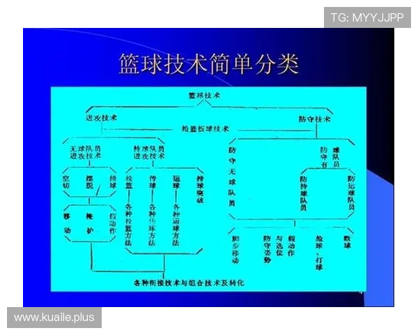 篮球技术全面提升指南 从基础动作到战术应用全方位解析